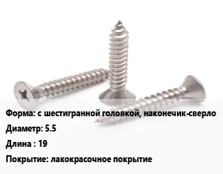 Саморез с шестигранной головкой, наконечик-сверло D=5.5 L=19 лакокрасочное покрытие